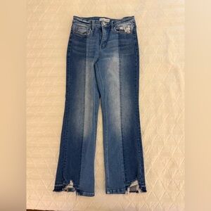 Flying Monkey Two Toned Jeans